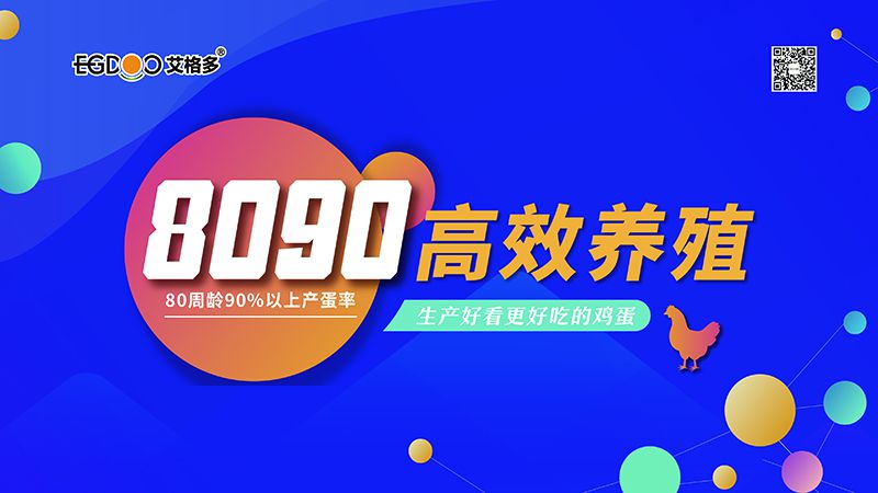 四會(huì)連開(kāi)，艾格多8090高 效養(yǎng)殖700天唐山區(qū)域線下交流會(huì)成功舉辦